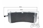 RADIATORIUS YAMAHA TMAX 530 2012-2016