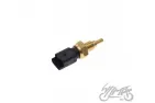 SENSOR, TEMPERATURE M12x1.5 4 PIN