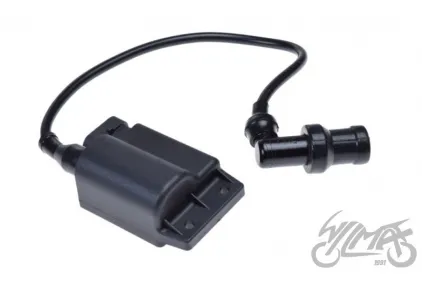 CDI UNIT/IGNITION COIL W/O SPEED LIMT PIAGGIO ZIP4