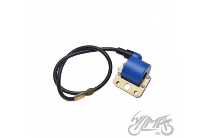 IGNITION COIL PIAGGIO 292418
