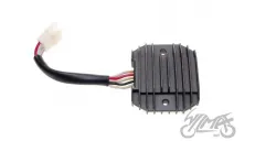 ĮTAMPOS REGULIATORIUS TDM850/TRX850