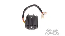 ĮTAMPOS REGULIATORIUS VT1100
