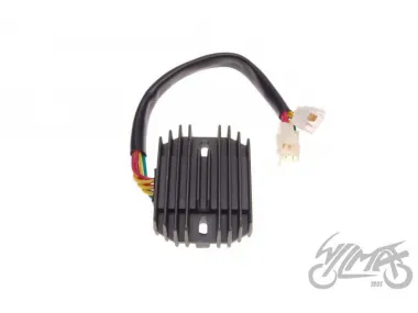ĮTAMPOS REGULIATORIUS VT1100