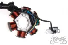 STATOR 6 COILS 7 WIRES PIAGGIO