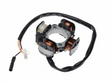 Apvija, apvijos generatoriaus 4 poliai TGB SUZUKI