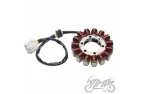 STATOR ASSY FOR APRILIA RSV4 2011-2017