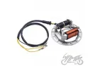 Apvija, apvijos generatoriaus KAWASAKI KFX 80 87-06