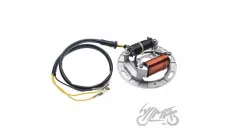 Apvija, apvijos generatoriaus KAWASAKI KFX 80 87-06