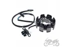 Apvija, apvijos generatoriaus HONDA CRF150F 03-05