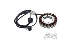 Apvija, apvijos generatoriaus SUZUKI TL1000R 97-03