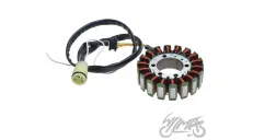 Apvija, apvijos generatoriaus KAWASAKI ZX-12R NINJA 02-03