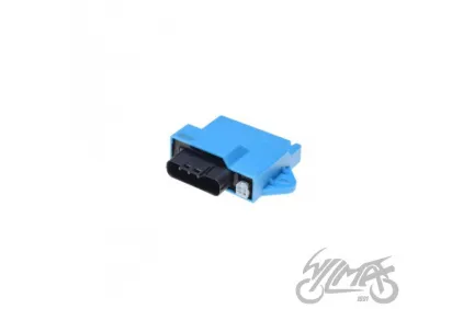 VALDIKLIS, KONTROLERIS ECU YAMAHA