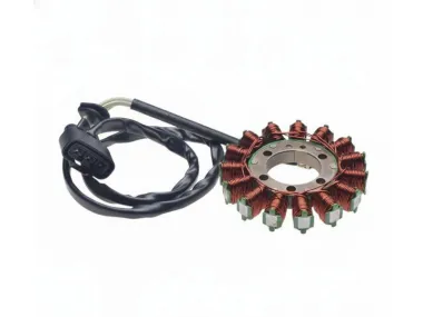 Apvija, apvijos generatoriaus BMW S1000R 09-17