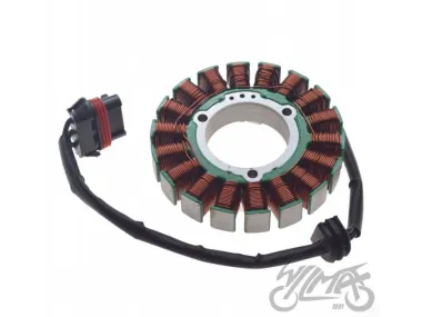 Apvija, apvijos generatoriaus POLARIS RZR570 13-16