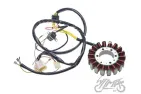 Apvija, apvijos generatoriaus POLARIS SCRAMBLER 500 04-13