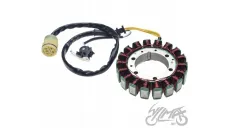 Apvija, apvijos generatoriaus HONDA TRX 500 05-11