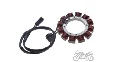 Apvija, apvijos generatoriaus HARLEY DAVIDSON 29967-89C