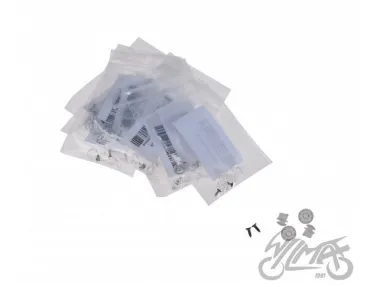 PIN FOR PINLOCK MAX VISION 10PRS