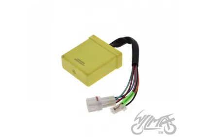 CDI UNIT, BWS 100