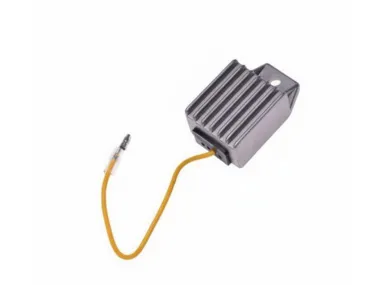 Įtampos reguliatorius 498-81910-23 TAIWAN