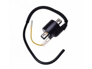 UŽDEGIMO RITĖ HONDA TAIWAN