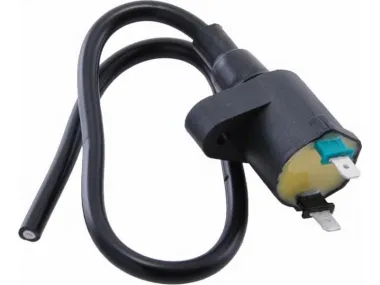 UŽDEGIMO RITĖ HONDA PEUGEOT TAIWAN