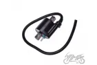 IGNITION COIL YAMAHA TAIWAN