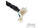 SWITCH ASSY, RH FOR BAOTIAN