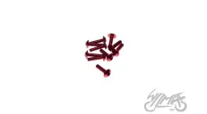 BOLT, ALUMINIUM 5X20 RED 10 PCS PACK