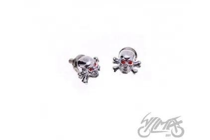BOLT, LICENCE PLATE SKULL/BONES CHROME