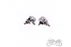 BOLT, LICENCE PLATE SKULL/BONES CHROME
