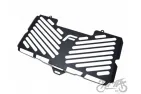 RADIATOR GUARDS FOR BMW F800