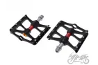 PEDAL, BICYCLE - PAIR