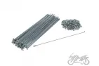 BICYCLE SPOKE SET 252 MM 144PCS