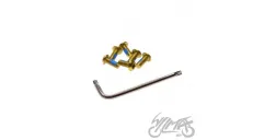 ROTOR TORX SCREW & WRENCH GOLD