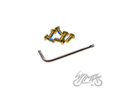 ROTOR TORX SCREW & WRENCH GOLD