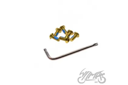 ROTOR TORX SCREW & WRENCH GOLD