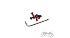 ROTOR TORX SCREW & WRENCH RED