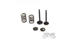 SPRING SET, VALVE BICYCLE AUXILIARY ENGINE 4-STROKE