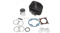 CYLINDER ASSY 50cc 2T PIN DIA. 10 QUANTUM