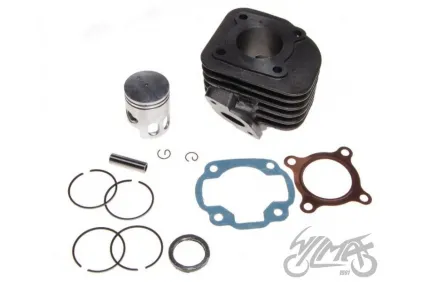 CYLINDER ASSY 50cc 2T PIN DIA. 10 QUANTUM