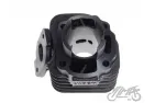 CYLINDER ASSY 50cc 2T PIN DIA. 10 QUANTUM