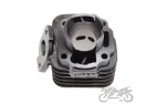 CYLINDER ASSY 60cc 2T PIN DIA. 10 QUANTUM