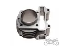 CYLINDER ASSY W/O HEAD 80 CCM DELFIN & OTHER 4T DIA. 47