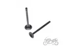 VALVE SET. INT&EXH FOR HEAD 50/80 CCM DE