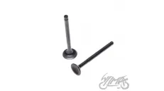 VALVE SET. INT&EXH FOR HEAD 50/80 CCM DE