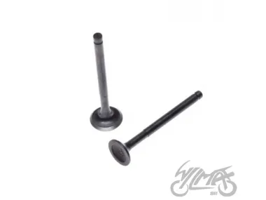 VALVE SET. INT&EXH FOR HEAD 50/80 CCM DE