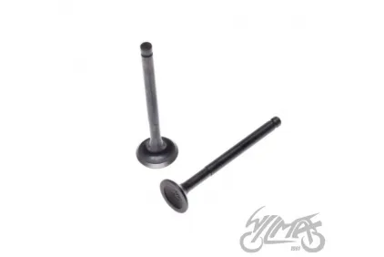 VALVE SET. INT&EXH FOR HEAD 50/80 CCM DE