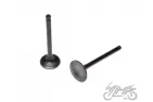 VALVE SET, IN.&EX.