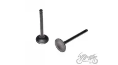 VALVE SET, IN.&EX.